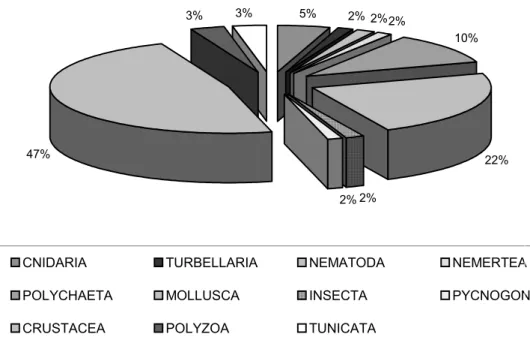 Fig. 2. Taxon groups represented in the hull fouling communities of the Port of Recife vessels, showing the  number of species (total 60 species)