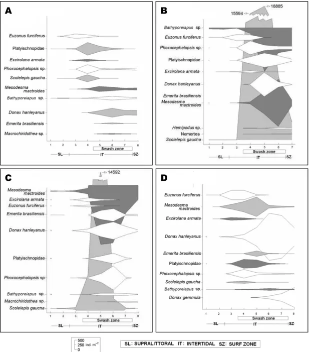 Fig. 5. Average densities per level of the organisms with greater densities during the seasons of the year