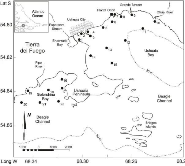 Fig. 1. Location of sampling stations in Ushuaia and Golondrina Bays.