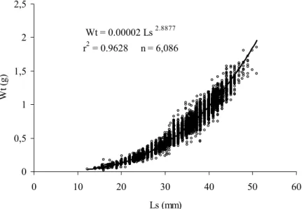 Fig. 7. Maurolicus stehmanni: length weight relationship . 