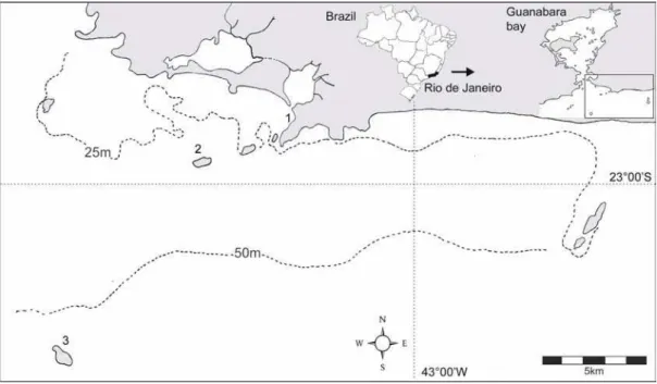 Fig. 2. Map of the studied area showing the isobates of 25 and 50 meters. 1- Itaipu Beach; 2- “Ilha do Pai”; 3- “Ilha Rasa”