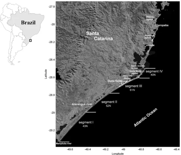 Fig. 1. Study area location and Landsat image (source: Embrapa (Miranda, 2005)) with the indication of the defined segments