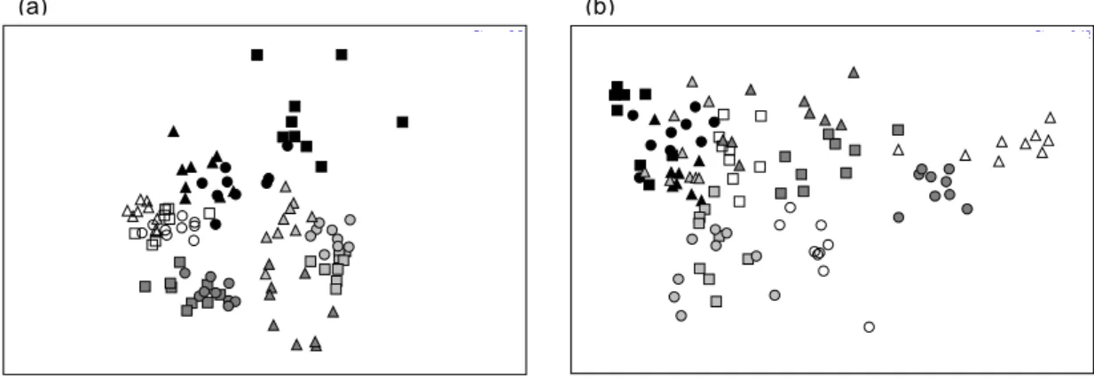 Fig. 7. Analysis of multidimensional scaling (MDS), comparison of the macrofauna assemblages among the months sampled