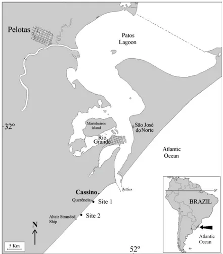 Fig. 1. Regional location of Cassino beach showing the position of sampling sites. 