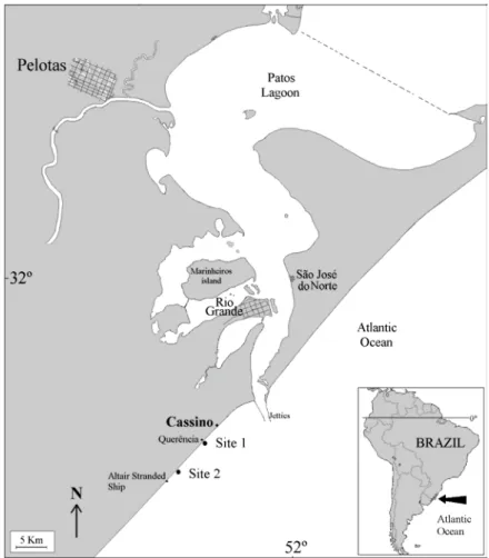 Fig. 1. Regional location of Cassino beach showing the position of sampling sites. 