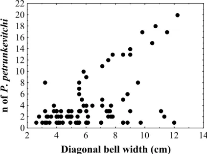 Fig. 5. Dispersion graphic between C. quadrumanus size and the number of P. 