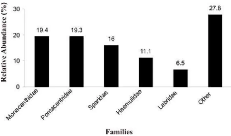 Fig. 4. Most abundant families recorded in quantitative TVC at Comprida Island.