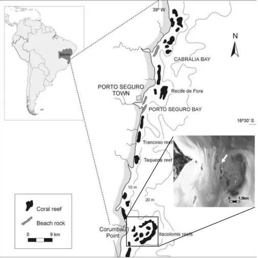 Fig. 1. Location of Itacolomis Reefs in the southern coast of the State of Bahia. Arrow in the image indicates  the location of the Pedra do Silva Reef