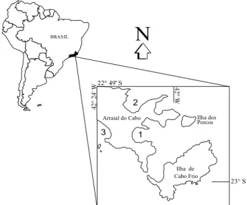 Fig. 1.  Location of the studied beaches at Arraial do Cabo, southeastern Rio de  Janeiro (1 – Praia dos Anjos beach, 2 – Prainha beach, 3 – Praia Grande beach)