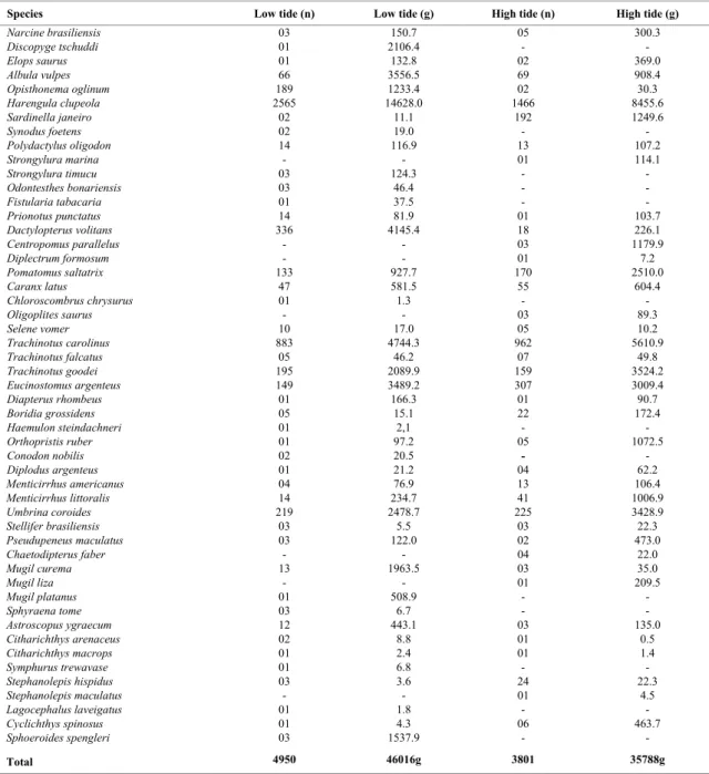 Table 1. Total number of individuals (n) and weight (g) of fish species in Praia dos Anjos beach in low and high tide  (September/01 to August/02)