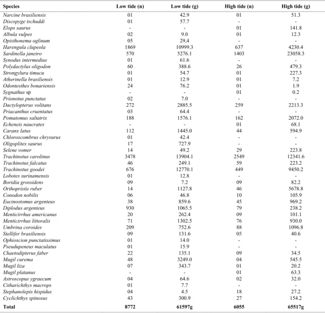 Fig. 5. Non-Metric Dimensional Scaling - MDS  Ordination method (Bray Curtis’s coefficient) based on  CPUE data (individuals/haul) of the main species at  Praia dos Grande beach at low and high tides  (September/01 to August/02)