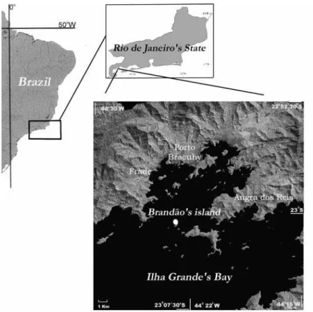 Fig. 1. Map of Ilha Grande Bay with the study area. 