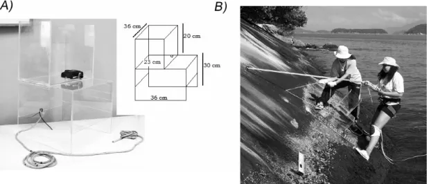 Fig. 2. a) Acrylic box with the camera; b) Transect being sampled. 