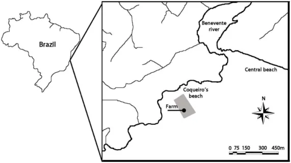 Fig. 1. Geographic location of Coqueiro´s Beach, with the mussel farming area. 
