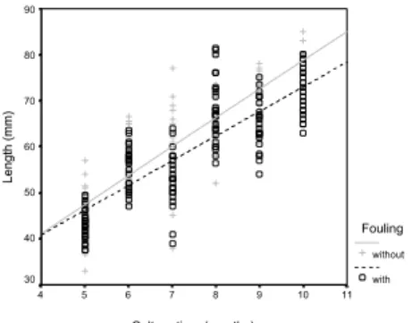 Fig. 2. Regression lines of (A) Height; (B) Length and (C)  Width of the mussels with and without fouling organisms,  related to the time of cultivation (in months) (all the  biometric data in mm)