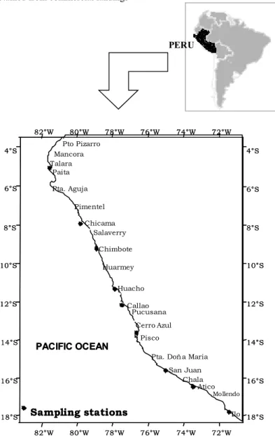 Fig. 1. Location of sampling stations along the Peruvian coast. 