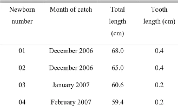 Table 2. Newborn data on C. limbatus caught off Ipanema  beach, Pontal do Paraná, southern Brazil