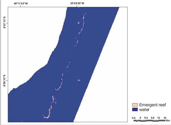 Fig. 7. Thematic map with acceptance threshold of 75%. 