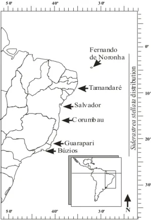 Fig. 1. Reproductive comparison of Siderastrea stellata. Map  of Brazil, indicating the six studied sites (arrows) and the  geographical distribution of S