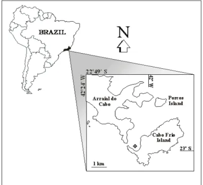 Fig. 1. The studied area. 