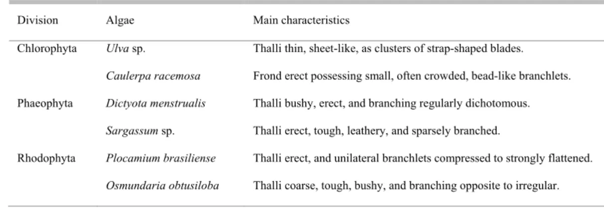 Table 1. Characteristics of the seaweeds offered to L. variegatus in multiple-choice feeding experiments