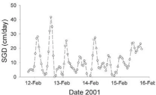 Fig. 5. SGD rates based on the continuous  222 Rn  measurements in Ubatuba (OLIVEIRA et al., 2003)