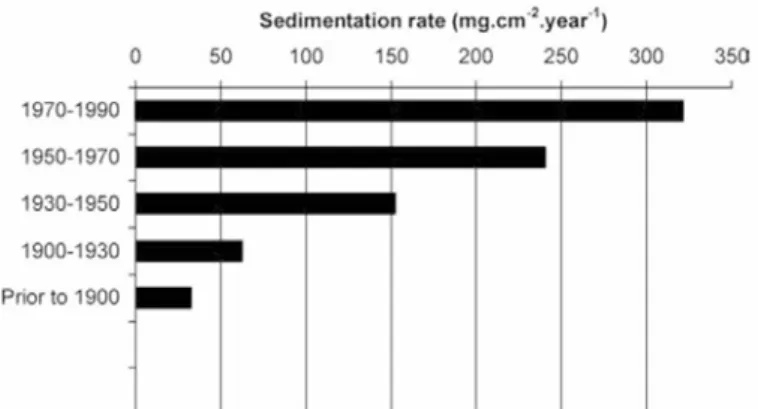 Fig. 3. Sedimentation rates estimated for the Eastern Sepetiba Bay coast  (FORTE, 1996, cited in MOLISANI et al., 2004)