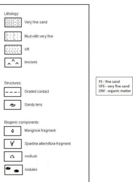Fig. 3. Key to the macroscopic description of the cores. 