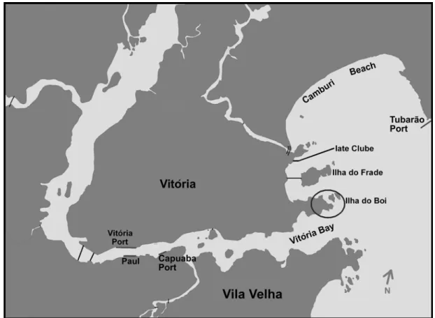 Fig. 1. Location of study area in Vitória Bay-ES, Brazil. 