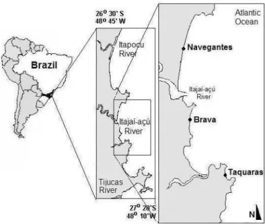 Fig. 1. Study area and location of sampling sites. 