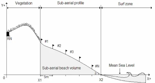 Fig. 2. Sampling scheme. RN: fixed reference point; #- sampling station; X1: landward boundary corresponding  to the first sampling station