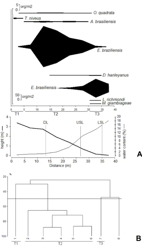 Fig. 6. Mean macrobenthic zonation, beach morphology and moisture content at Taquaras  beach (A), and the cluster analysis results (B)