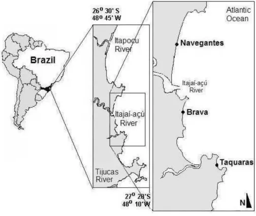 Fig. 1. Study area and location of the sampling sites. 