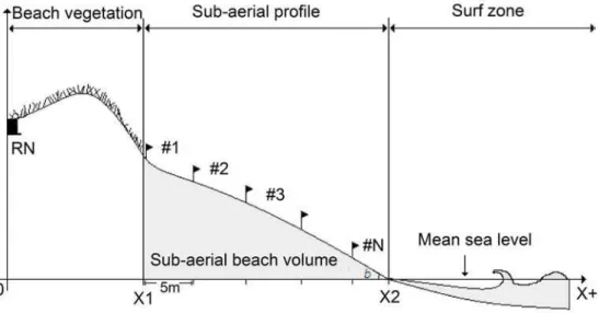 Fig. 3. Sampling scheme. RN: fixed reference point; #- sampling station; X1: landward boundary  corresponding to the first sampling station