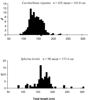 Fig.  2.  Length  distributions  for  Carcharhinus  signatus  and  Sphyrna lewini from seamounts off northeastern Brazil
