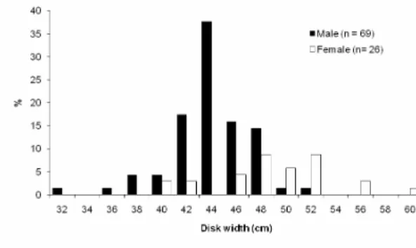 Fig. 2. Size distribution (disc width) for the pelagic stingray. 