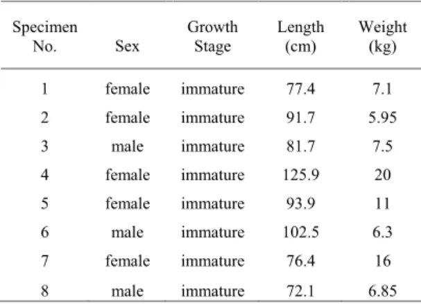 Table 1. Biological parameters of eight South American fur  seals (Arctocephalus australis), collected in August 1999