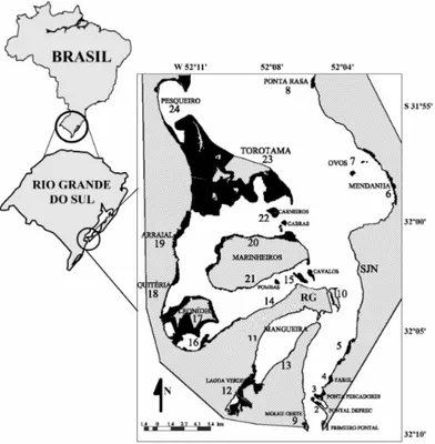 Fig.  1.  Patos  Lagoon  estuary  (RS-Brazil)  with  location  of  24  salt  marsh  units  (black areas)  in  São  José  do  Norte  (east margin) and Rio Grande  (west margin).