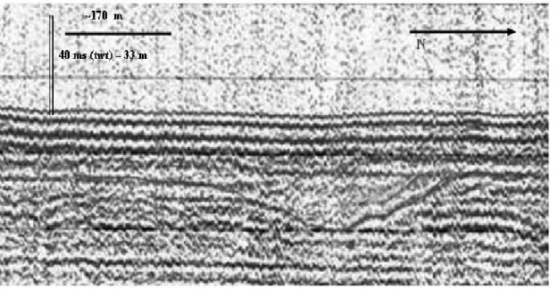 Fig. 5. Sparker profiles indicating typical incised channel structures from the paleo-valley P2