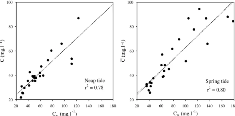 Fig. 8. Correlation between near bottom SSC (C B ) and mean water column distribution ( C ) for neap and spring tide