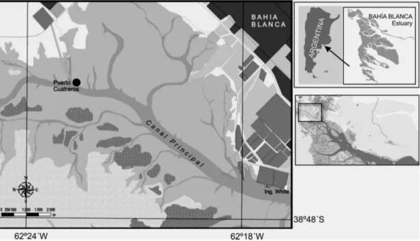 Fig. 1. The location of the study site, Puerto Cuatreros, in the inner zone of the Bahía Blanca Estuary, Argentina