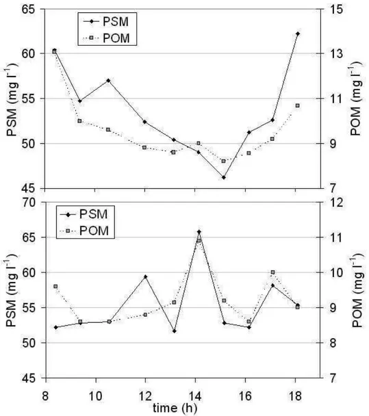 Fig. 5. Temporal evolution of particulate suspended matter and particulate organic matter at the study site: (a) at  the surface and (b) at the bottom of the water column