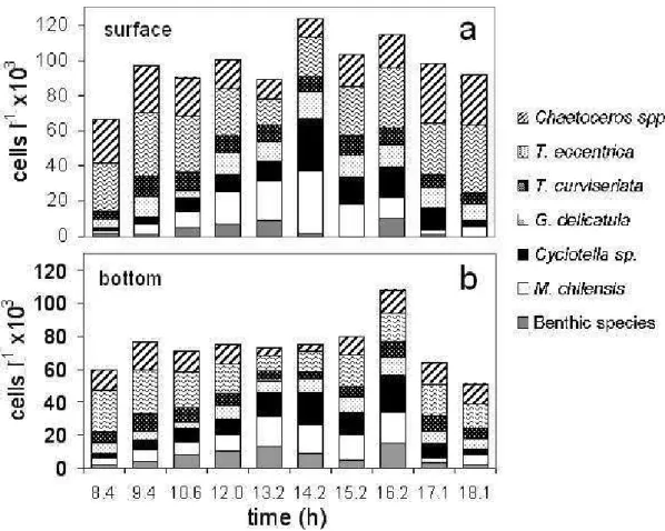 Fig.  7.  Temporal  evolution  of  the  abundances  of the  most  frequent diatom  species,  (a) at  the  surface  and  (b)  at  the  bottom of the water column at the study site