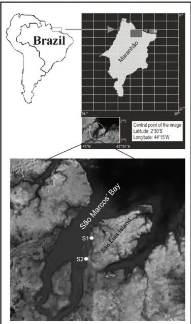 Fig.  1.  Location  of  catfish  sampling  sites  in  São  Marcos’  Bay:  S1  (potentially  contaminated); S2 (reference)