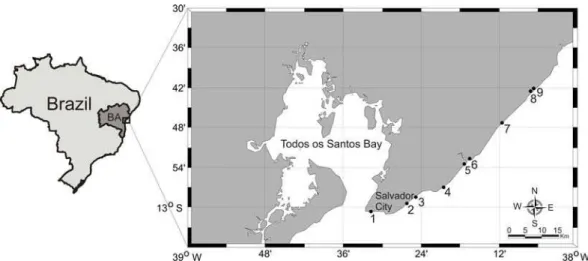 Fig. 1. Map showing the sandy beaches sampled (Urban beaches: 1- Barra; 2- Jardim de Alah and 3- Corsário; 