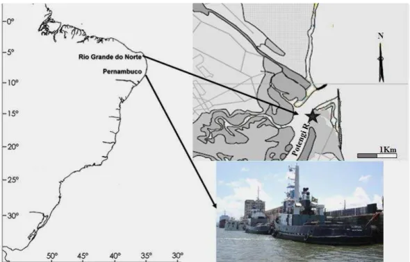 Fig.  1.  Sites  of  Scorpius  H2G  tugboat  operation.  Natal  City  map,  highlighting  the  location  of  Port  of  Natal  (5º44’50”S  and  35º12’34”W)