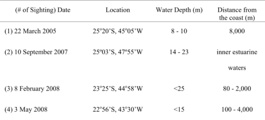 Table 1. Sightings of a male killer whale (Orcinus orca) along the Brazilian southeastern  coast between 2005 and 2008