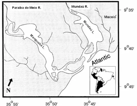 Fig. 1. Mundaú/Manguaba complex, Alagoas, Northeast Brazil. 