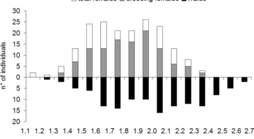 Fig.  4.  Size  class  distribution  of  Catapaguroides  microps  showing  that  males  are  more  abundant in the bigger size classes and that abundance is lower in the smaller size classes