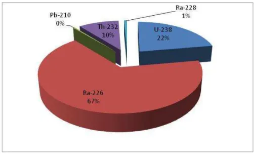 Fig. 1. Contribution of radionuclides analyzed to the absorbed dose rate. 